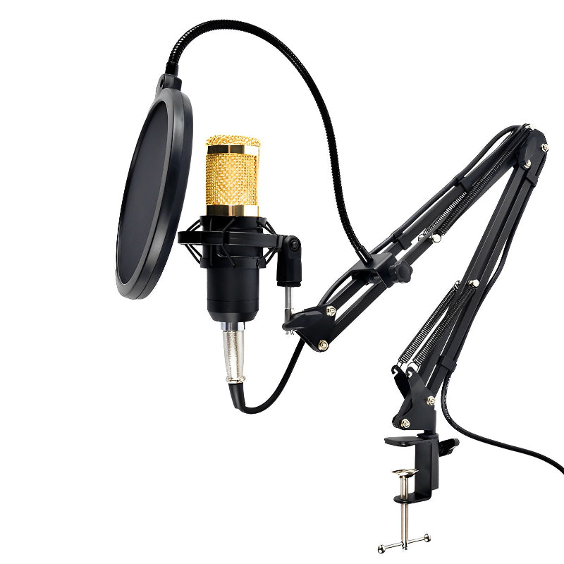 Microfone Profissional Bm800 com Pop Filter e Braço Articulado