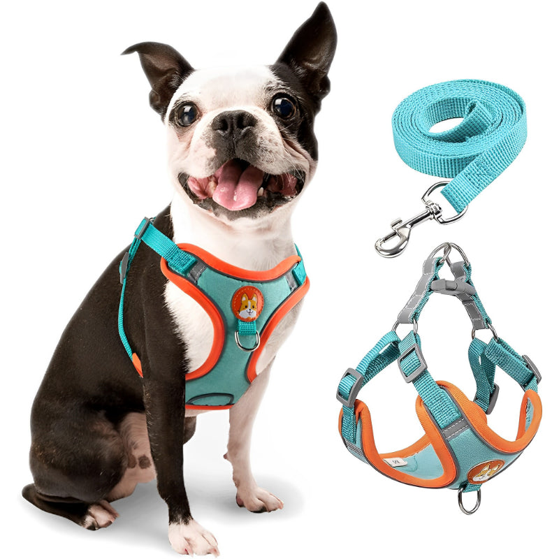 Coleira Peitoral com Guia para Cachorro