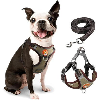 Coleira Peitoral com Guia para Cachorro