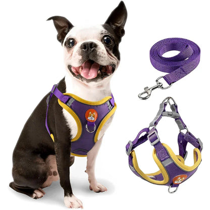 Coleira Peitoral com Guia para Cachorro
