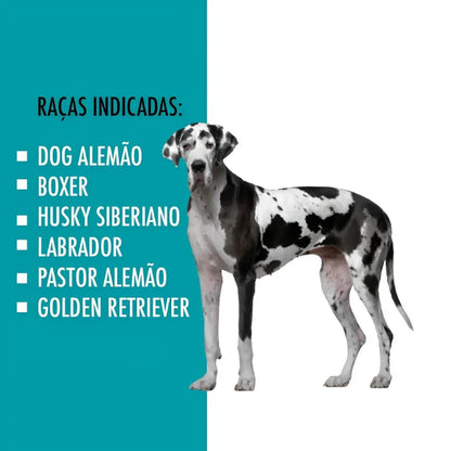 Casinha de Cachorro N8