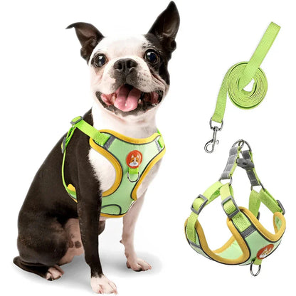 Coleira Peitoral com Guia para Cachorro