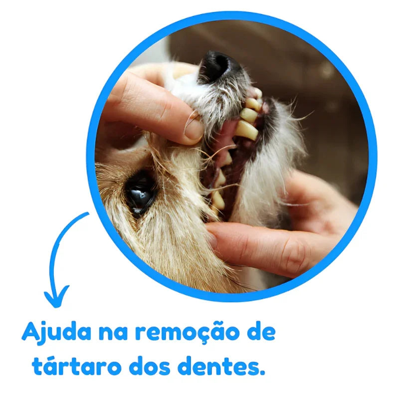 Kit Brinquedo Mordedor para Cachorro