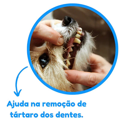 Kit Brinquedo Mordedor para Cachorro