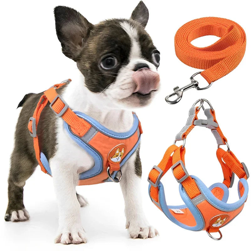 Coleira Peitoral com Guia para Cachorro